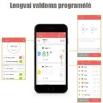 belaidis-bbq-termometras-easy-bbq-pro