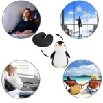 kelionine-automobilio-pagalve-penguin