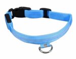 led-augintinio-antkaklis-s