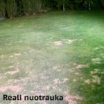led-lauko-sviestuvai