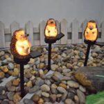 led-sodo-lempa-eziuko-formos