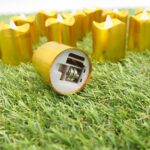 led-zvake-gold