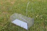 spasti-pelems-ir-ziurkems-27x11x11-cm